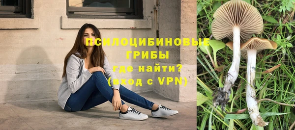 мескалин Осинники