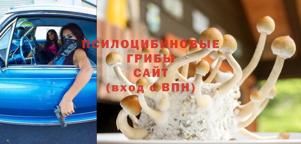 мескалин Осинники