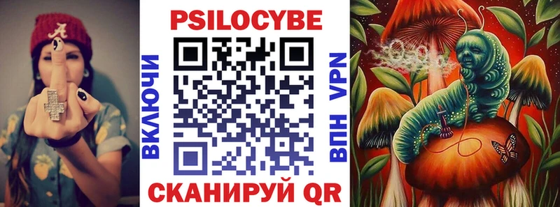 Галлюциногенные грибы Psilocybe  Купить где  Шелехов 